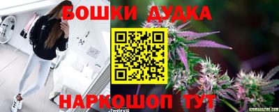 2c-b Лесосибирск