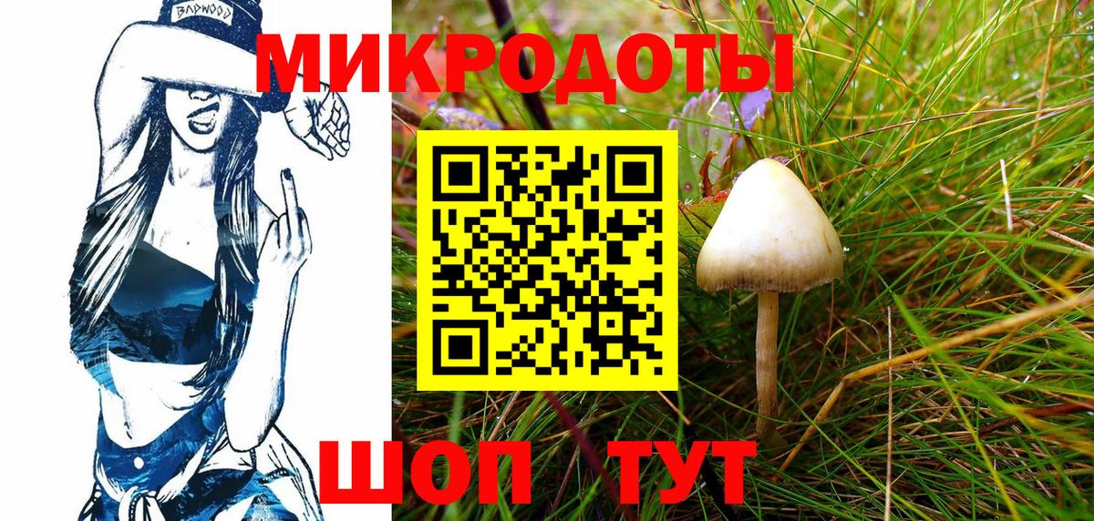 Псилоцибиновые грибы мицелий Ивантеевка