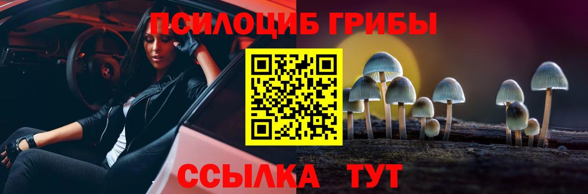 Псилоцибиновые грибы Cubensis  Вход с VPN  Ивантеевка 